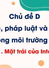 Chủ đề D - Bài 1. Mặt trái của Internet